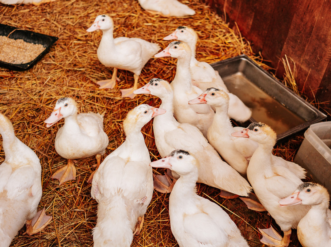 Hotel Restaurant 7 Berge am Schlehberg主图