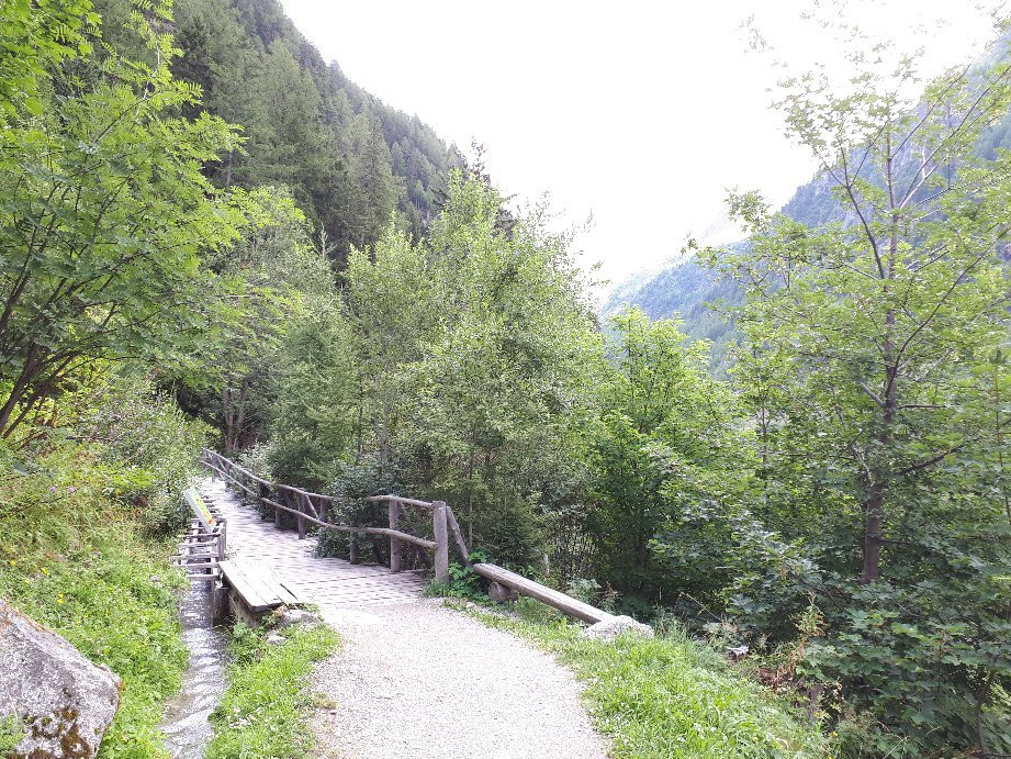 Sentier du bisse du Glacier du Trient景点图片