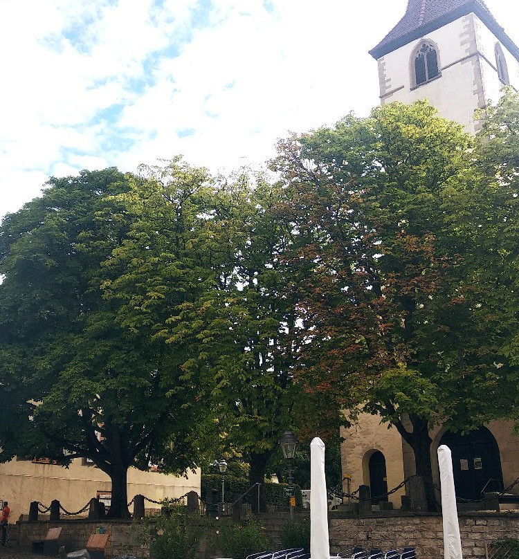 Martinskirche-Muellheim必去景点