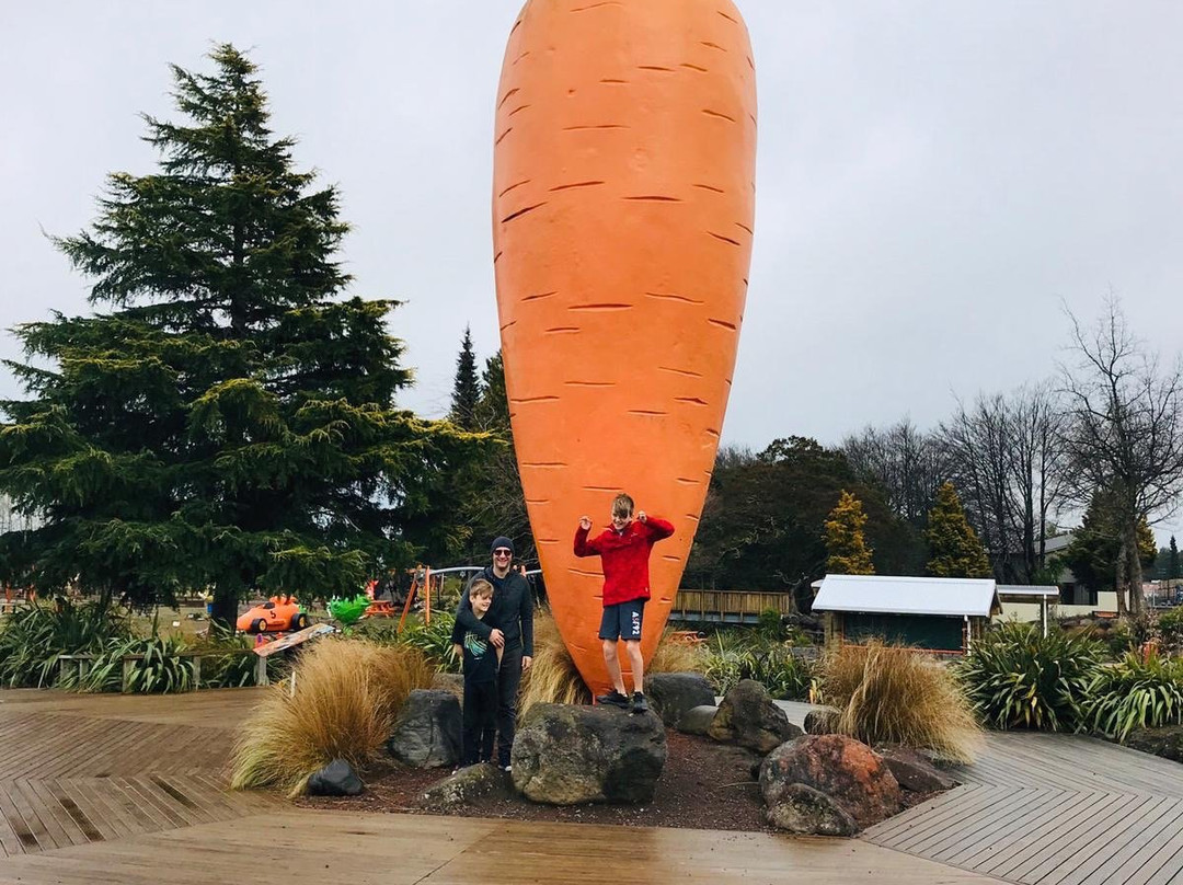 Ohakune Carrot Adventure Park景点图片