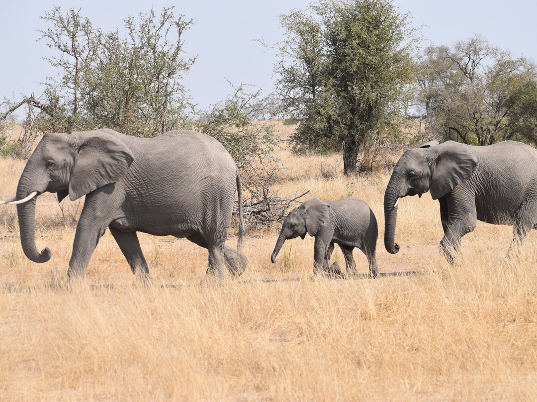 Ashanti Travel-开普敦中心区必去景点