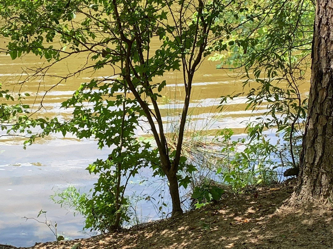 Anne Springs Close Greenway-米尔堡必去景点