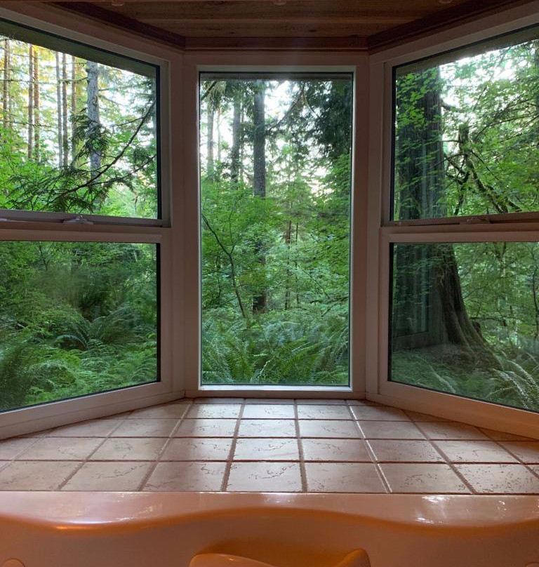 Deep Forest Cabins at Mt. Rainier主图