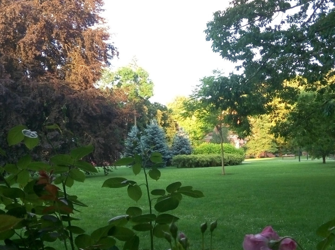 Park Miejski im. Aleksandra Majkowskiego景点图片