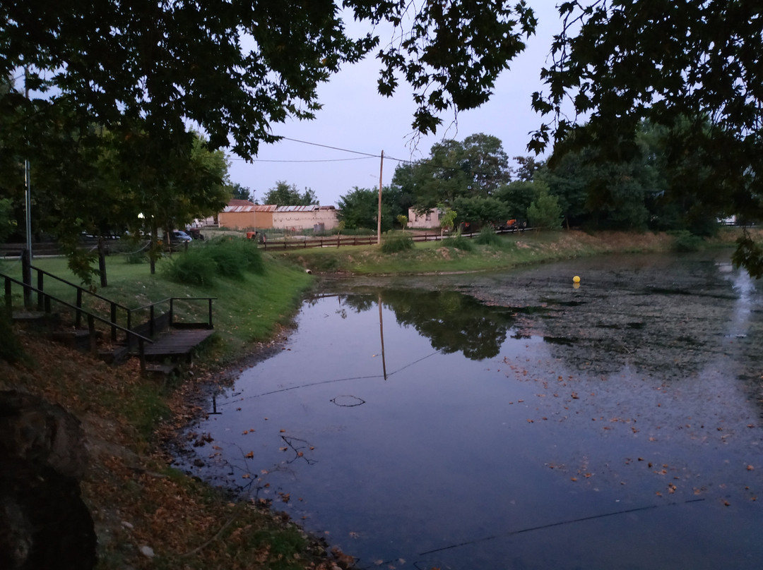 Límni Nkitzí-Trikala必去景点