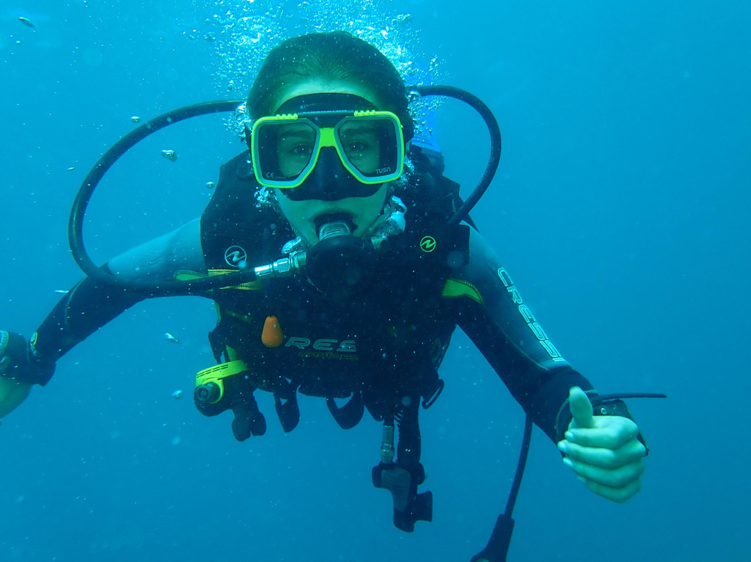 Barracuda Dive Center-位于塔甘加必去景点