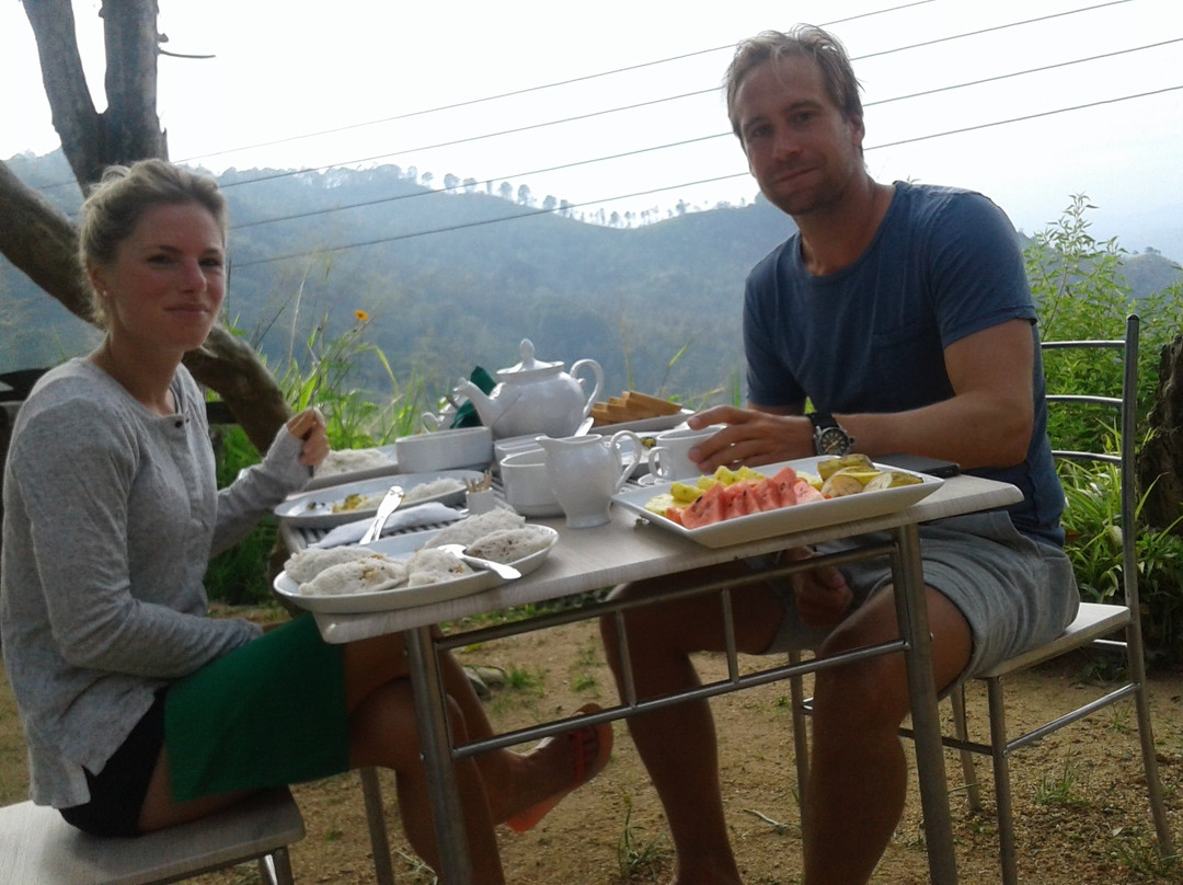 Dew Drop Resort主图