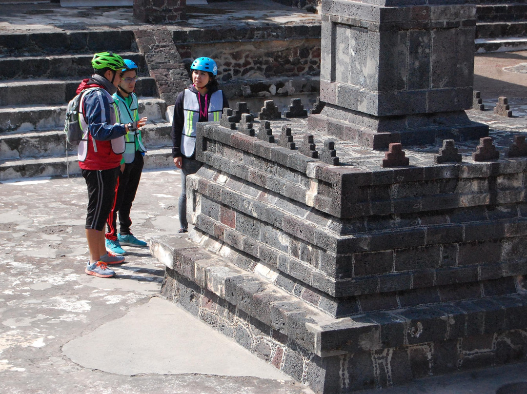 Pedalea Teotihuacan景点图片