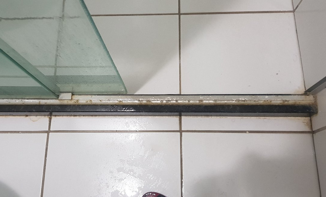 Jardim Plaza Hotel主图