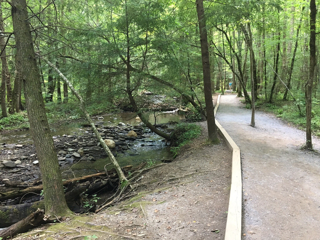 Fighting Creek Trail-大雾山国家公园必去景点