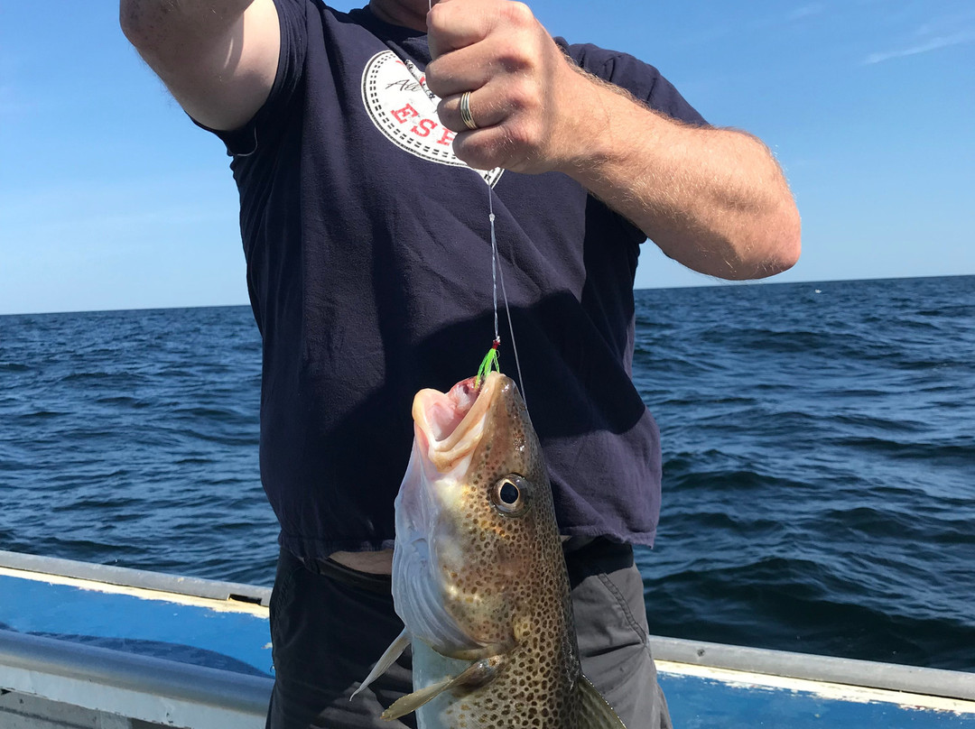 Campbell's Deep Sea Fishing-York必去景点