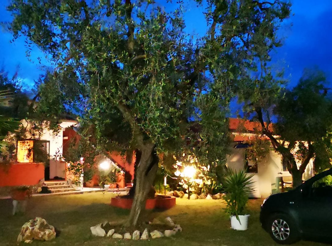 B&B Uliveto Del Gargano主图