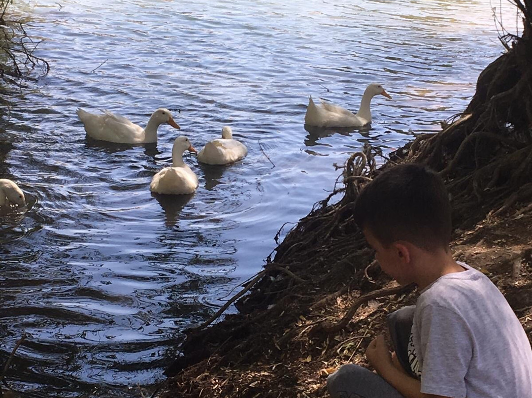 Golbası Golleri Tabiat Parki景点图片