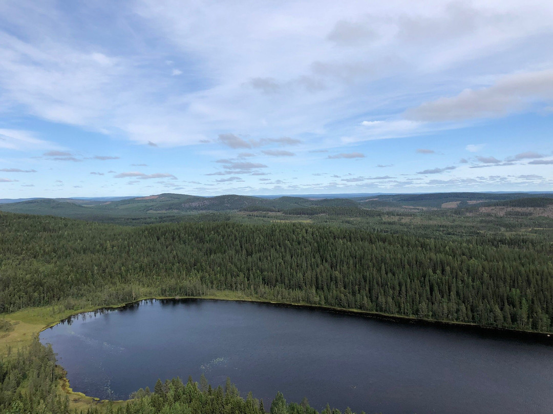 Pure Lapland - Tours景点图片