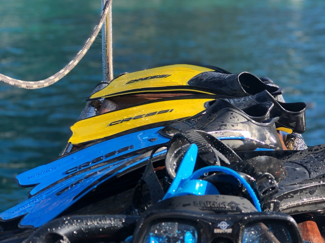 Prima Boats-Port d'Andratx必去景点