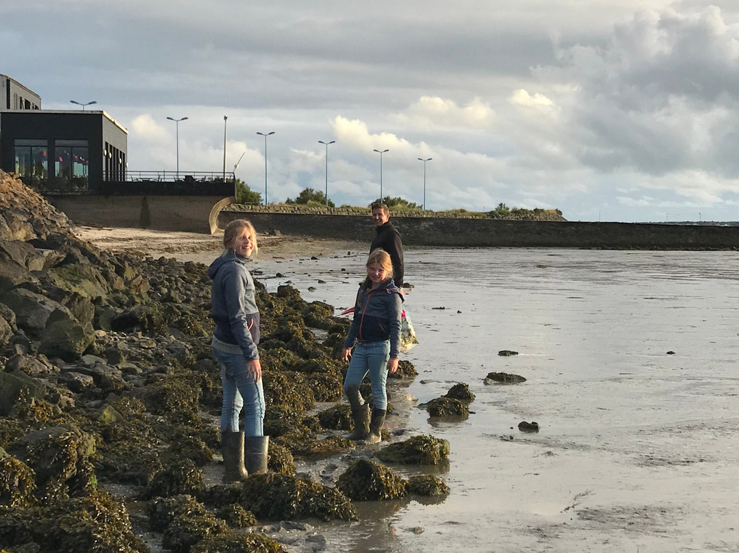 Gîtes Au Passage du Gois主图