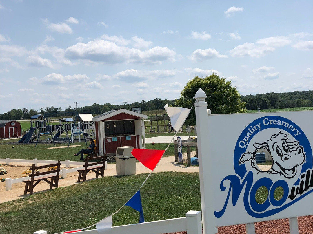 MOO-ville Creamery景点图片