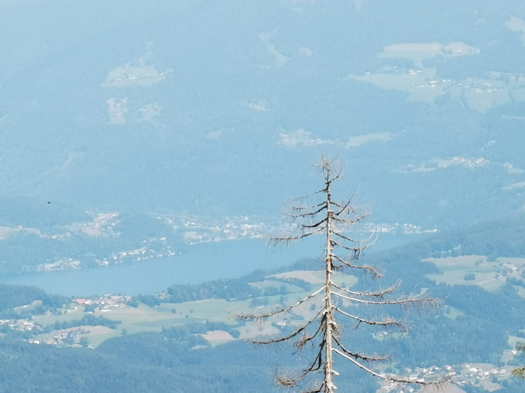 Gasthof Grebmer主图