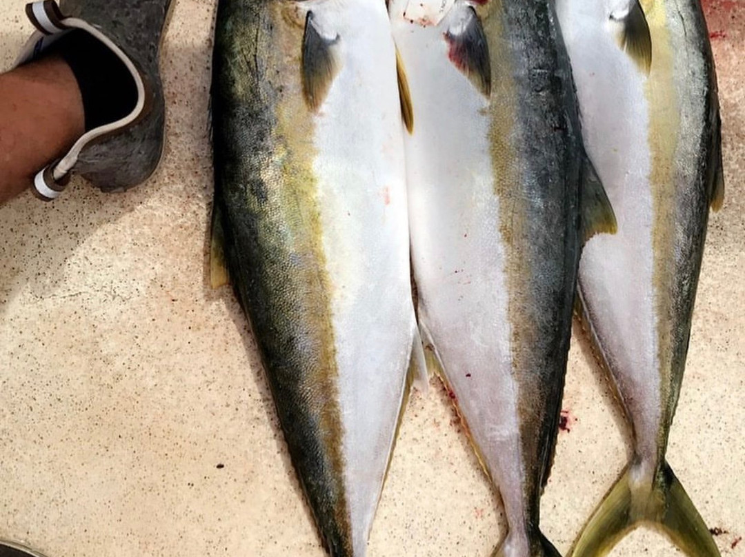 Channel Islands Sportfishing-奥克斯纳德必去景点