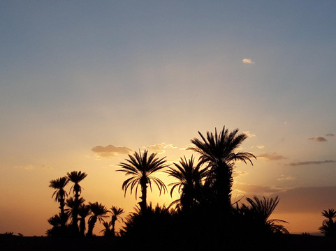 Excursion désert Maroc