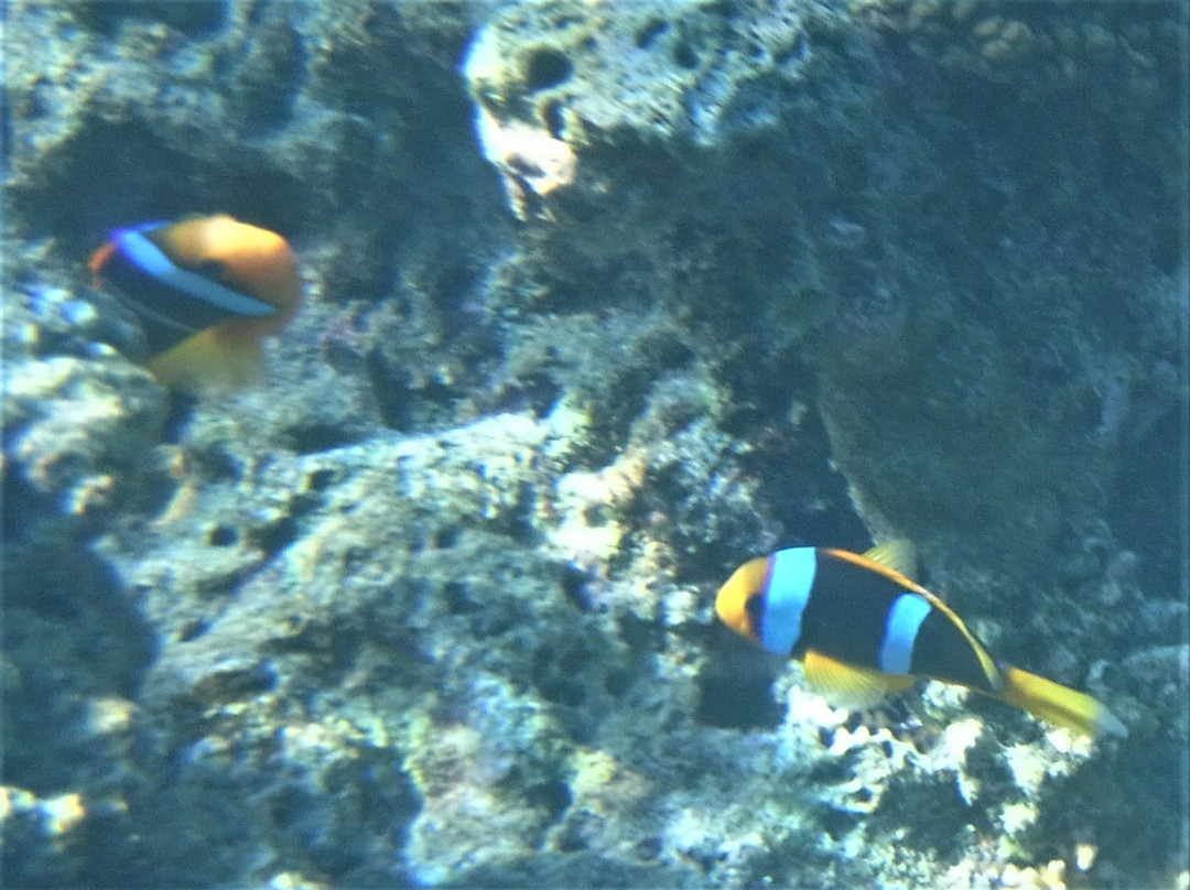 Aqua-Trek Mana-玛娜岛必去景点