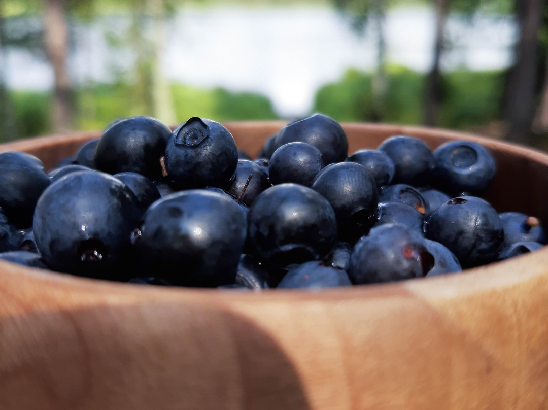 Liesjärven Kansallispuisto-Liesjarvi必去景点