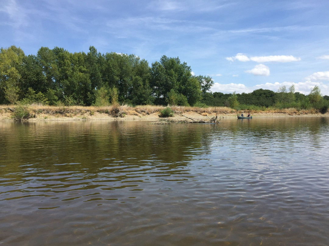 ASPTT Canoe Kayak Moulins景点图片