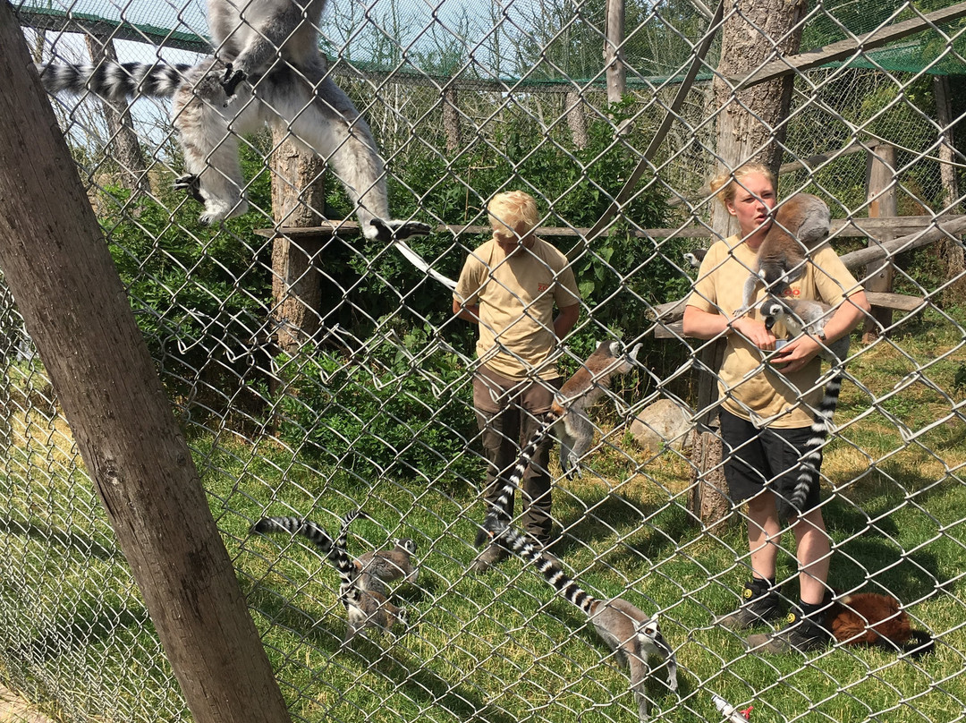 Odsherred Zoo Rescue-Asnaes必去景点