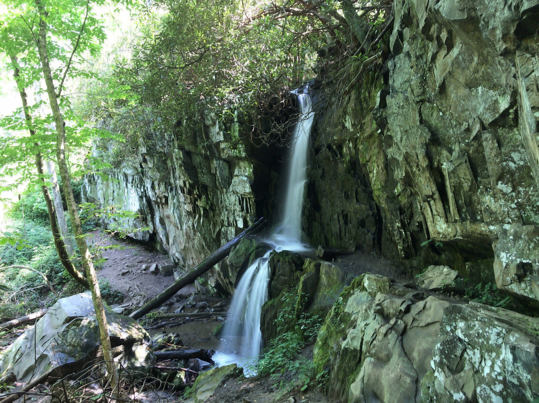 Baskins Creek Falls-大雾山国家公园必去景点