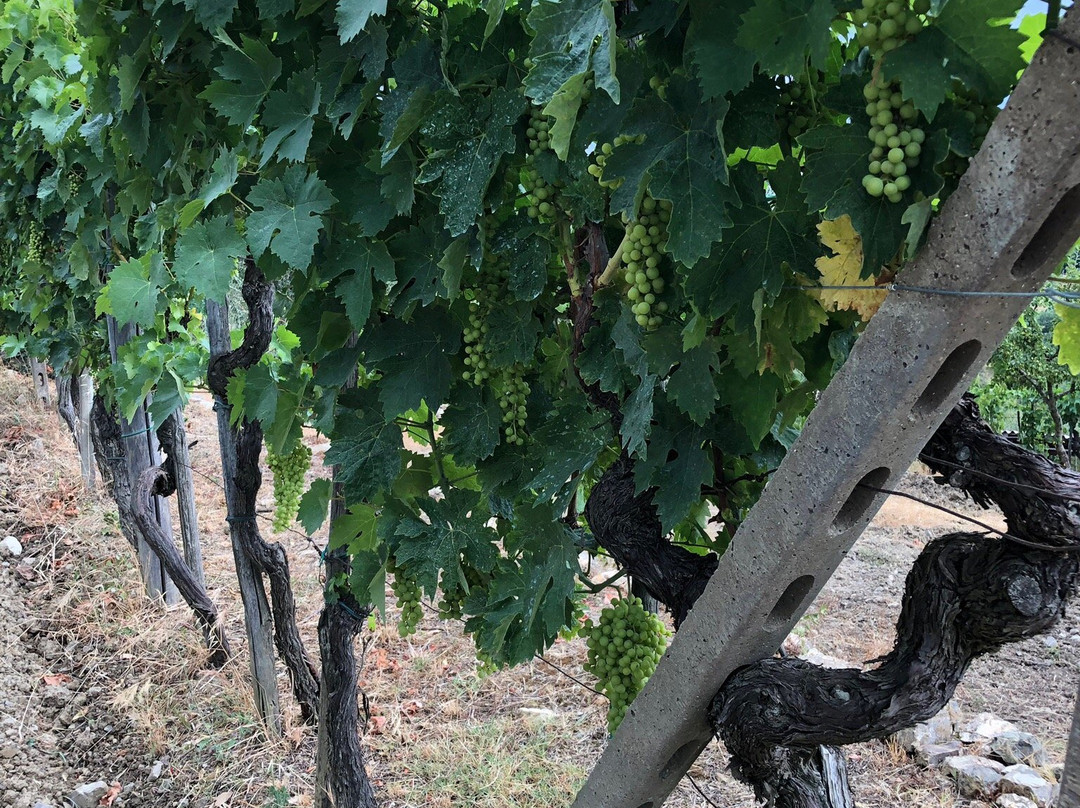 Tuscany Private tours-蓬塔谢韦必去景点