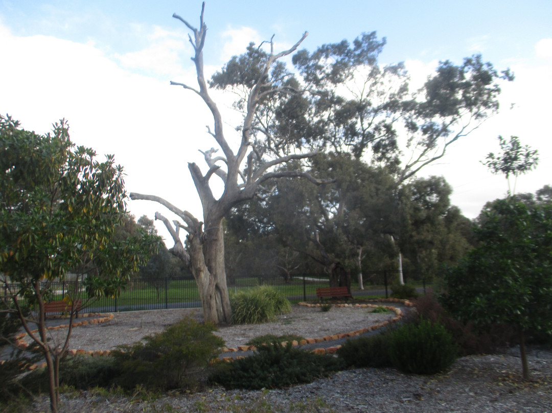 Horsham Botanical Gardens-霍舌姆必去景点