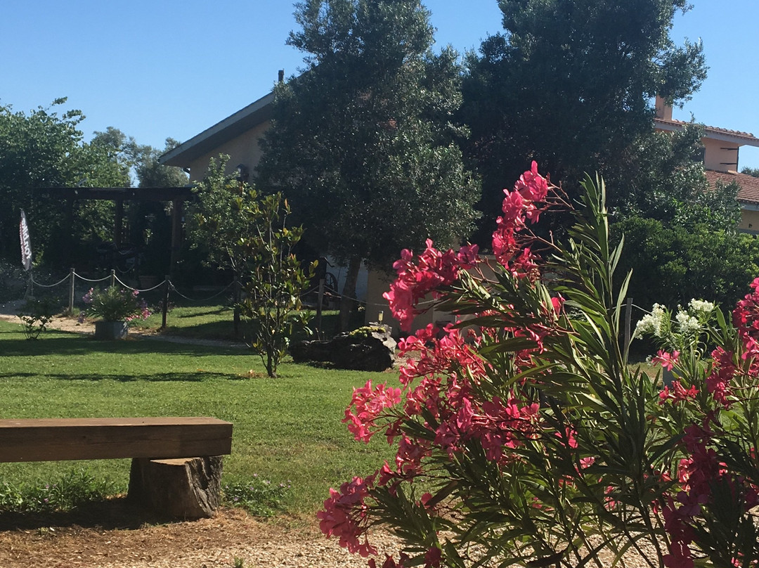 Agriturismo San Matteo主图