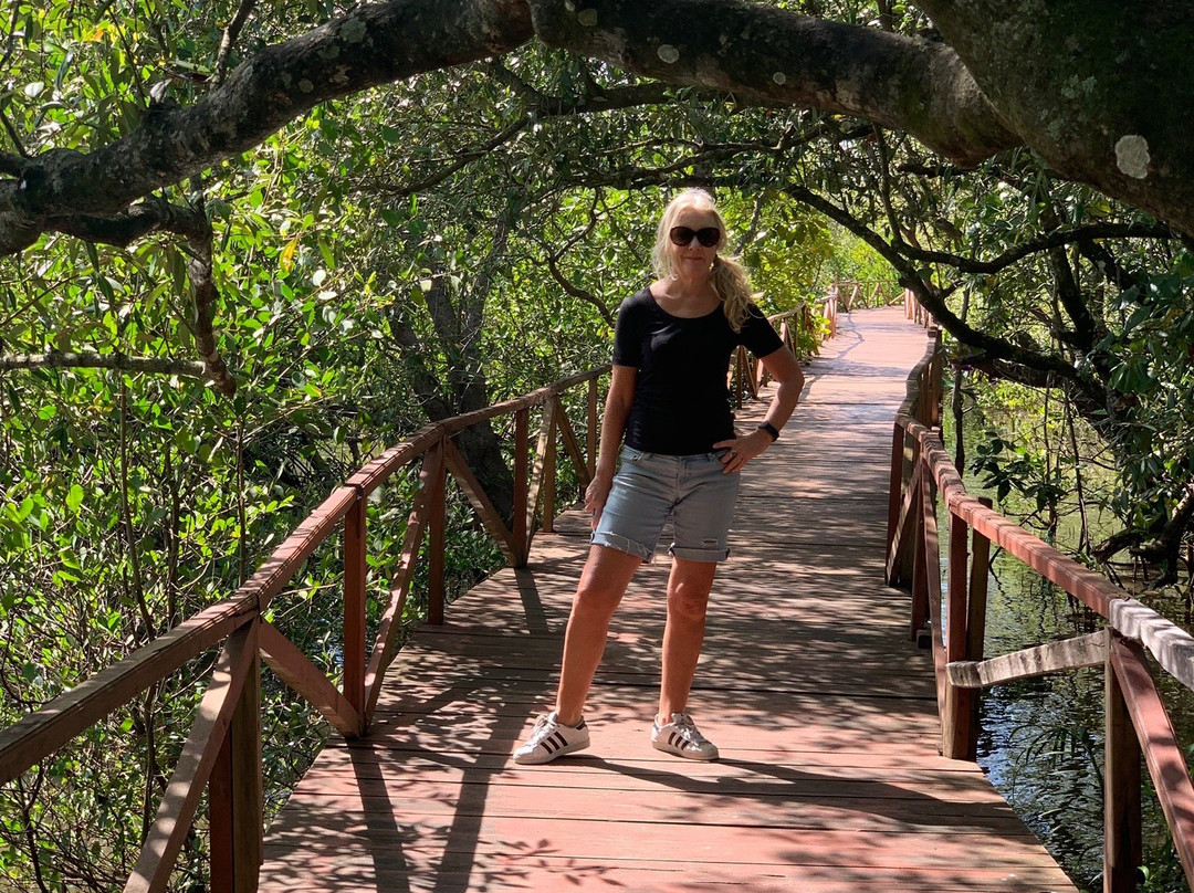 Mangrove Forest Batukaras-庞岸达兰必去景点