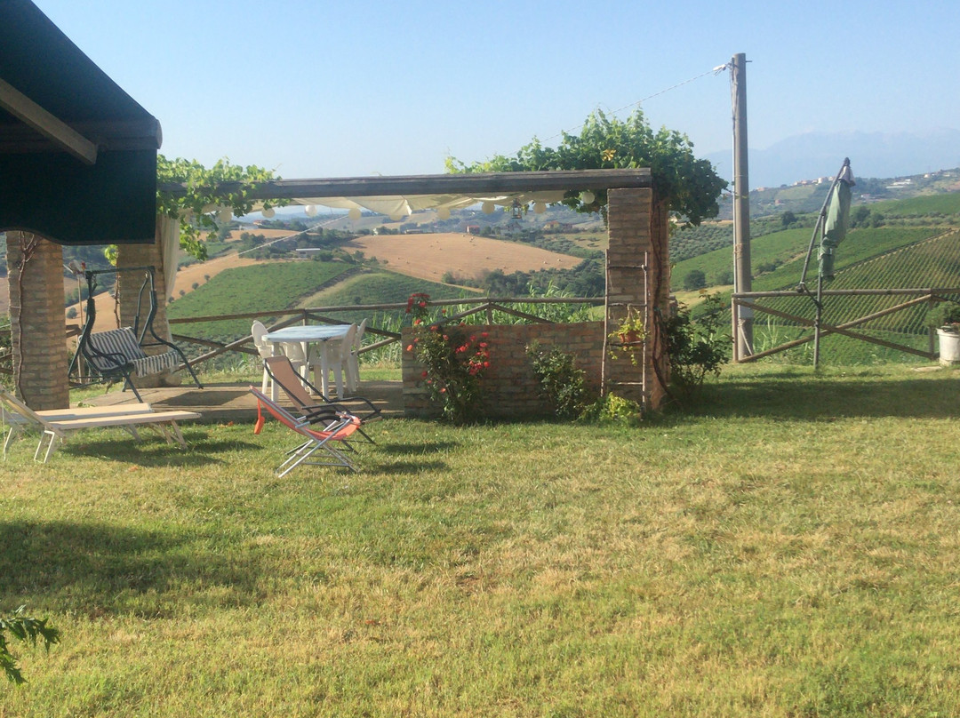 B&B Il Fosso del Gallo主图