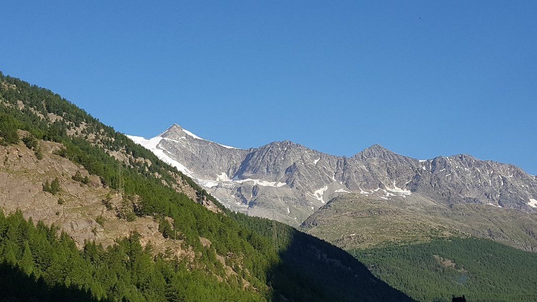 Hotel Alpenhof主图