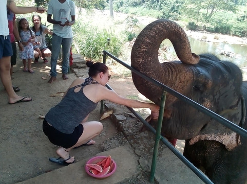 Easy Tours Sri lanka-科伦坡必去景点