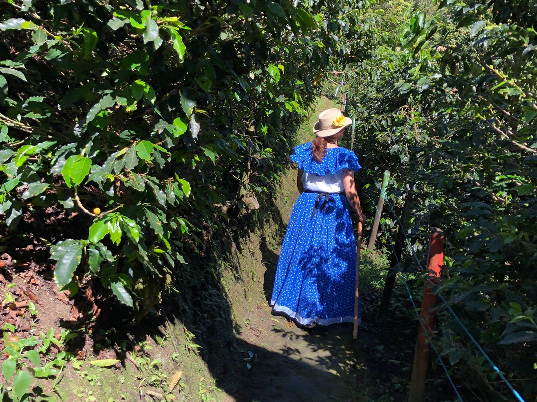 Observatorio Agroecologico el Cafetal-恩维加多必去景点