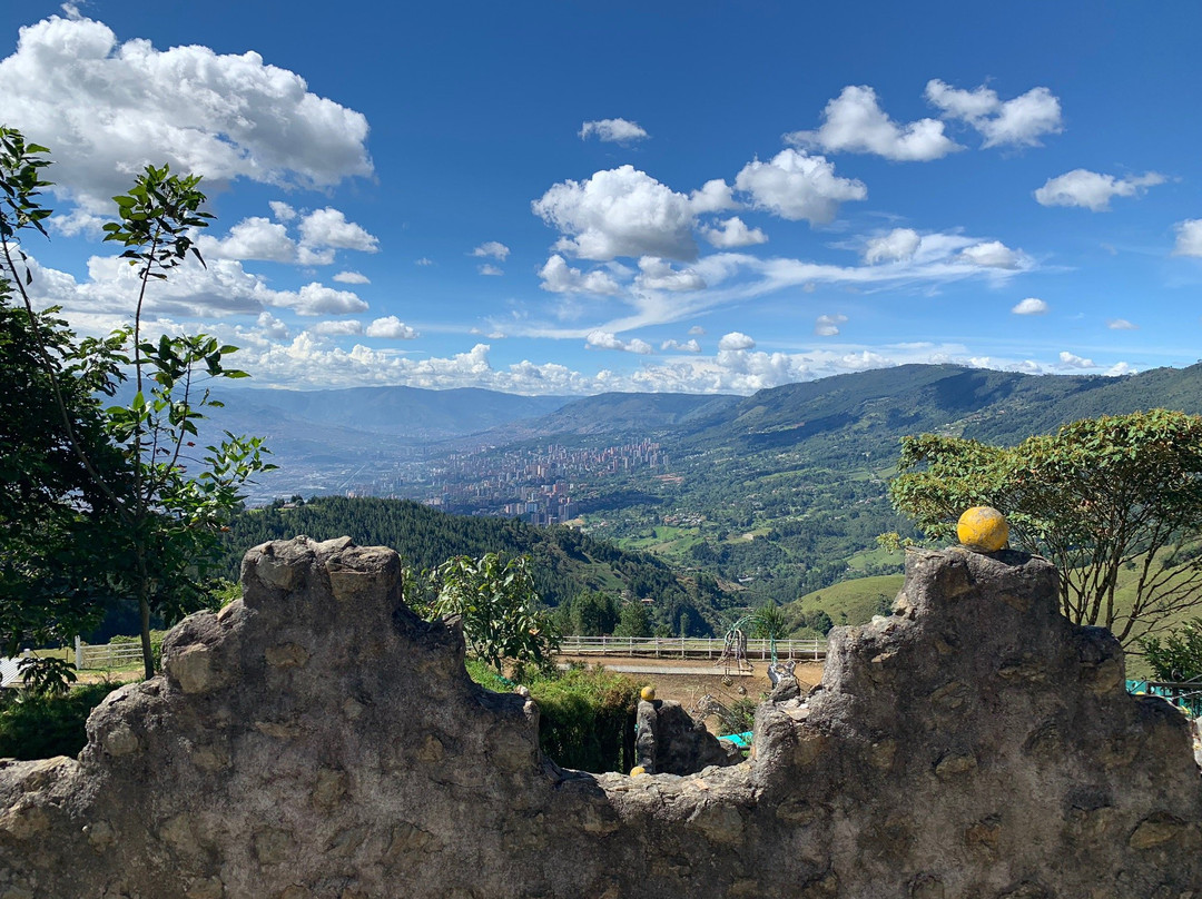 Visit Medellin Tours景点图片