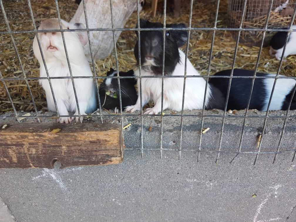 Ferienhof Laurenz主图