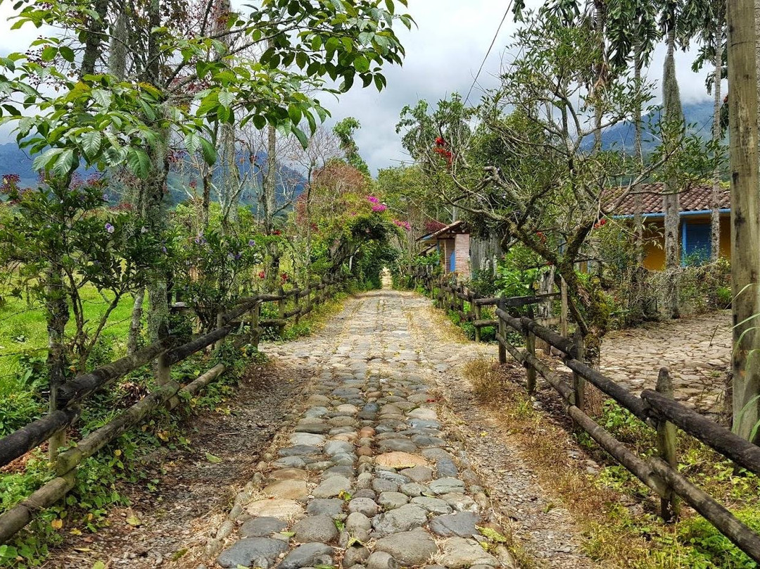 Jardín Eco Tours-Jardin必去景点