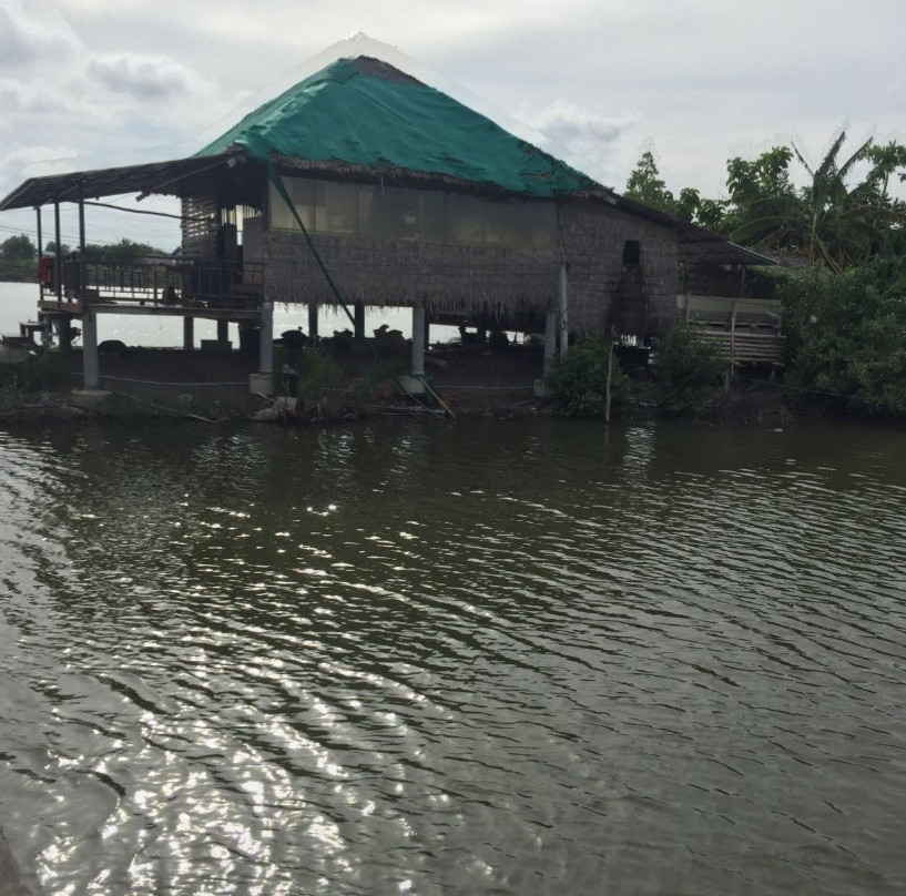 Wat Khun Samut Chin-帕沙姆佛塔必去景点