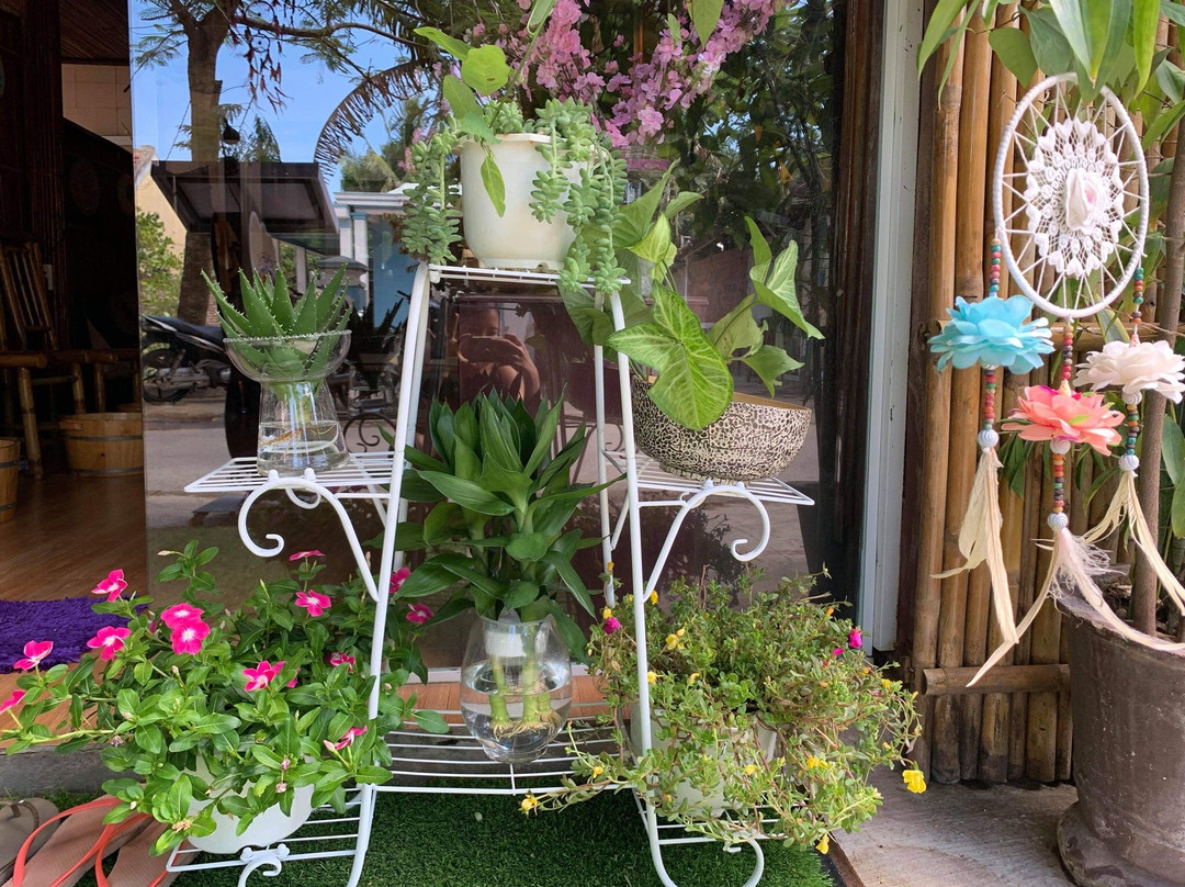 The Mandala House Beauty & Spa-会安必去景点