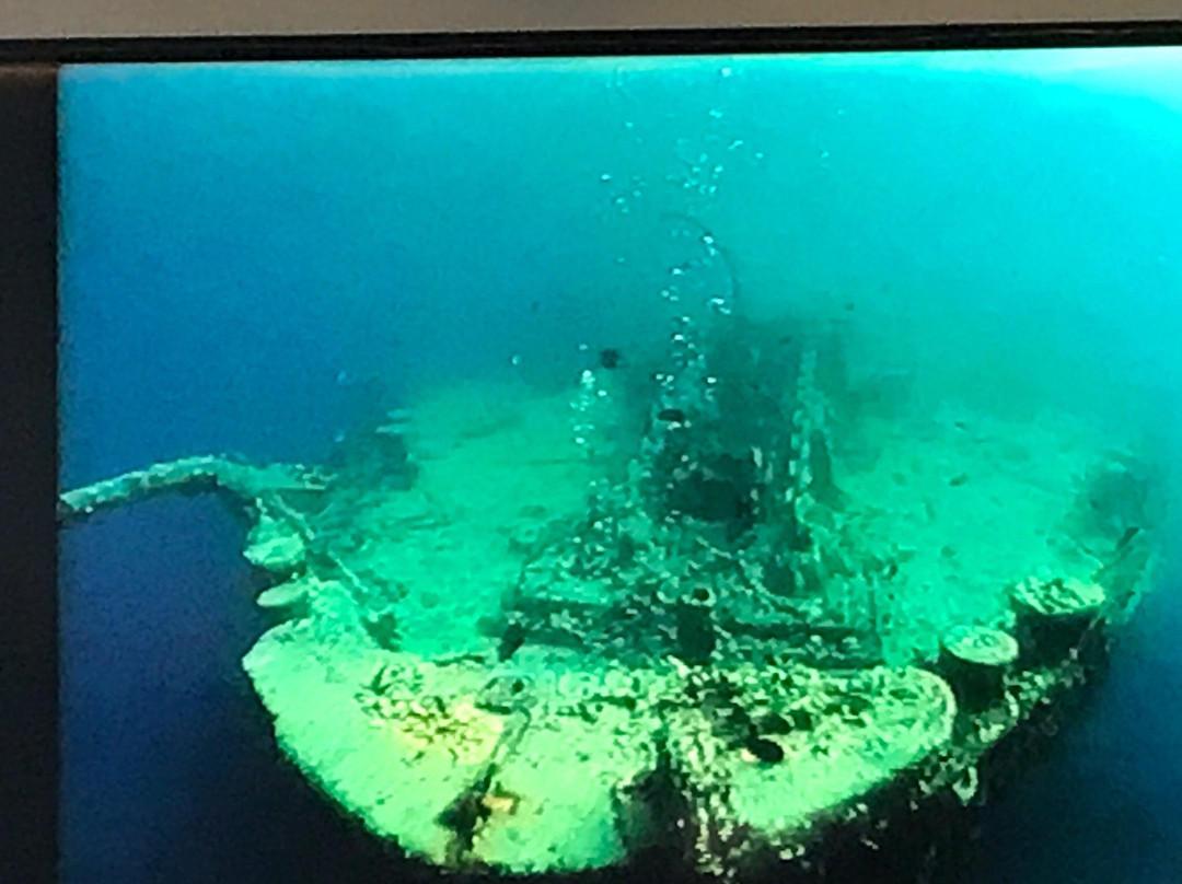 Pro Dive Centre-伊丽莎白港必去景点