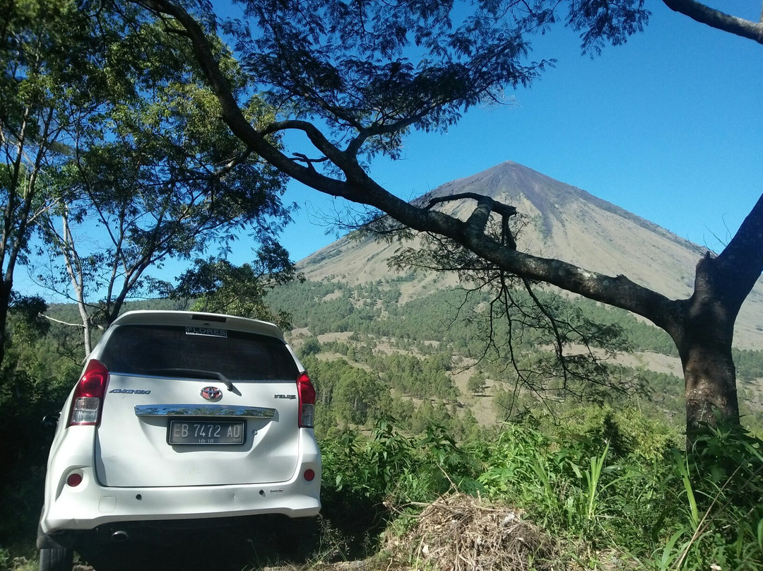 Ngada景点图片