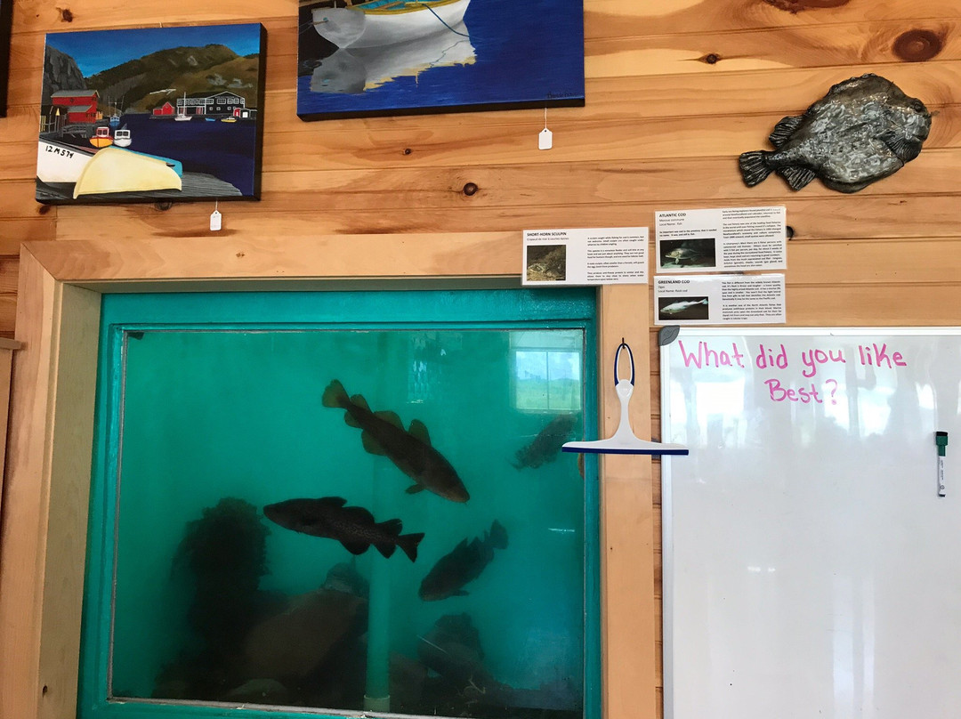 Champney's West Aquarium景点图片