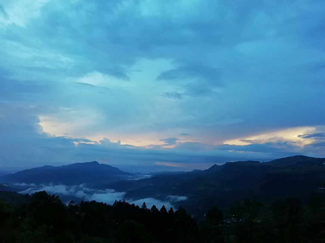 Nature First Hotel主图