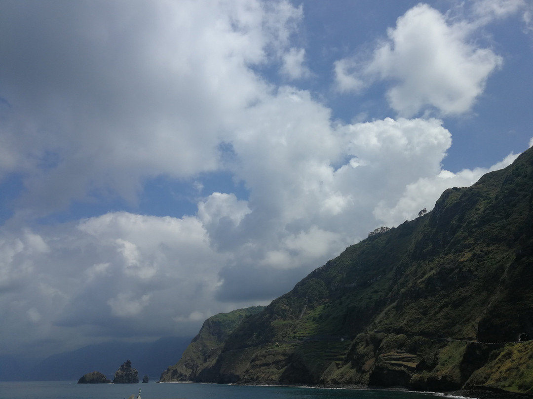 Madeira Happy Tours景点图片