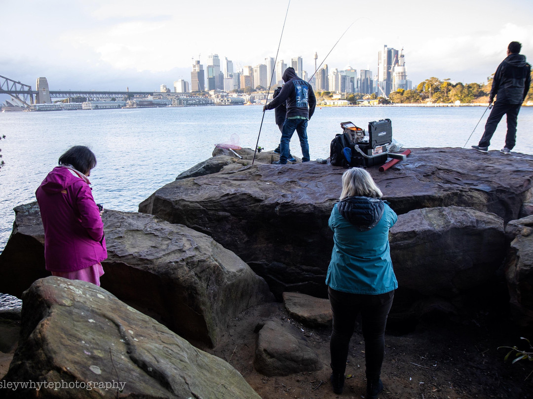 Lesley Whyte Photography-奥克兰必去景点