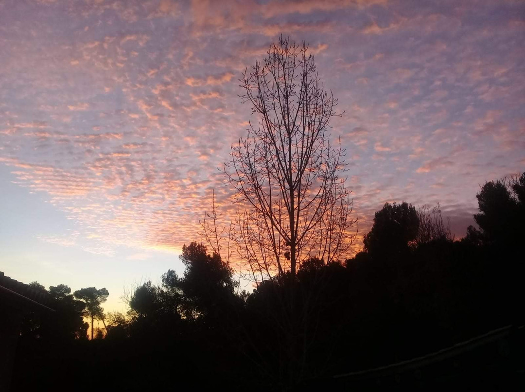 Boca Boca at La Masia Alt Penedes-巴塞罗那必去景点