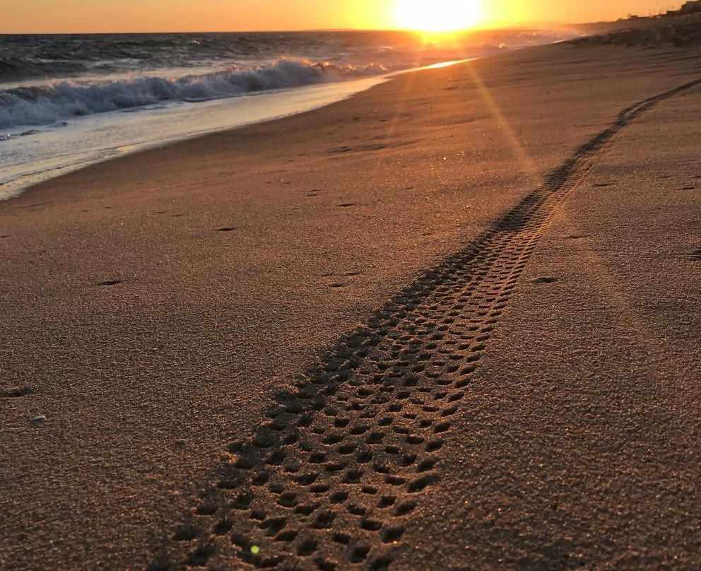 Algarve Fat Wheels-法罗必去景点